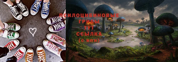 мяу мяу кристалл Корсаков