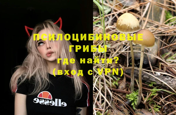 героин Бородино