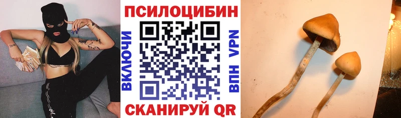 даркнет официальный сайт  Будённовск  Галлюциногенные грибы Cubensis 